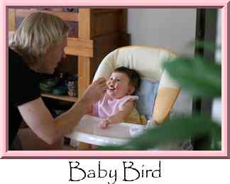 Baby Bird Thumbnail