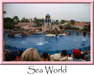 Sea World Thumbnail