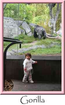 Gorilla Thumbnail