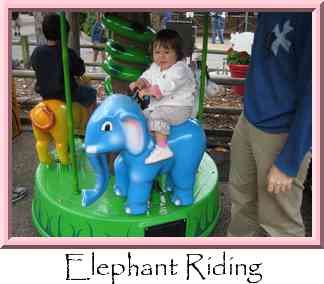 Elephant Riding Thumbnail