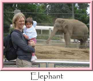 Elephant Thumbnail