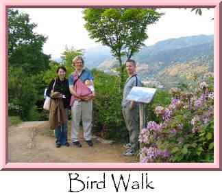 Bird Walk Thumbnail