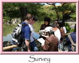 Survey Thumbnail
