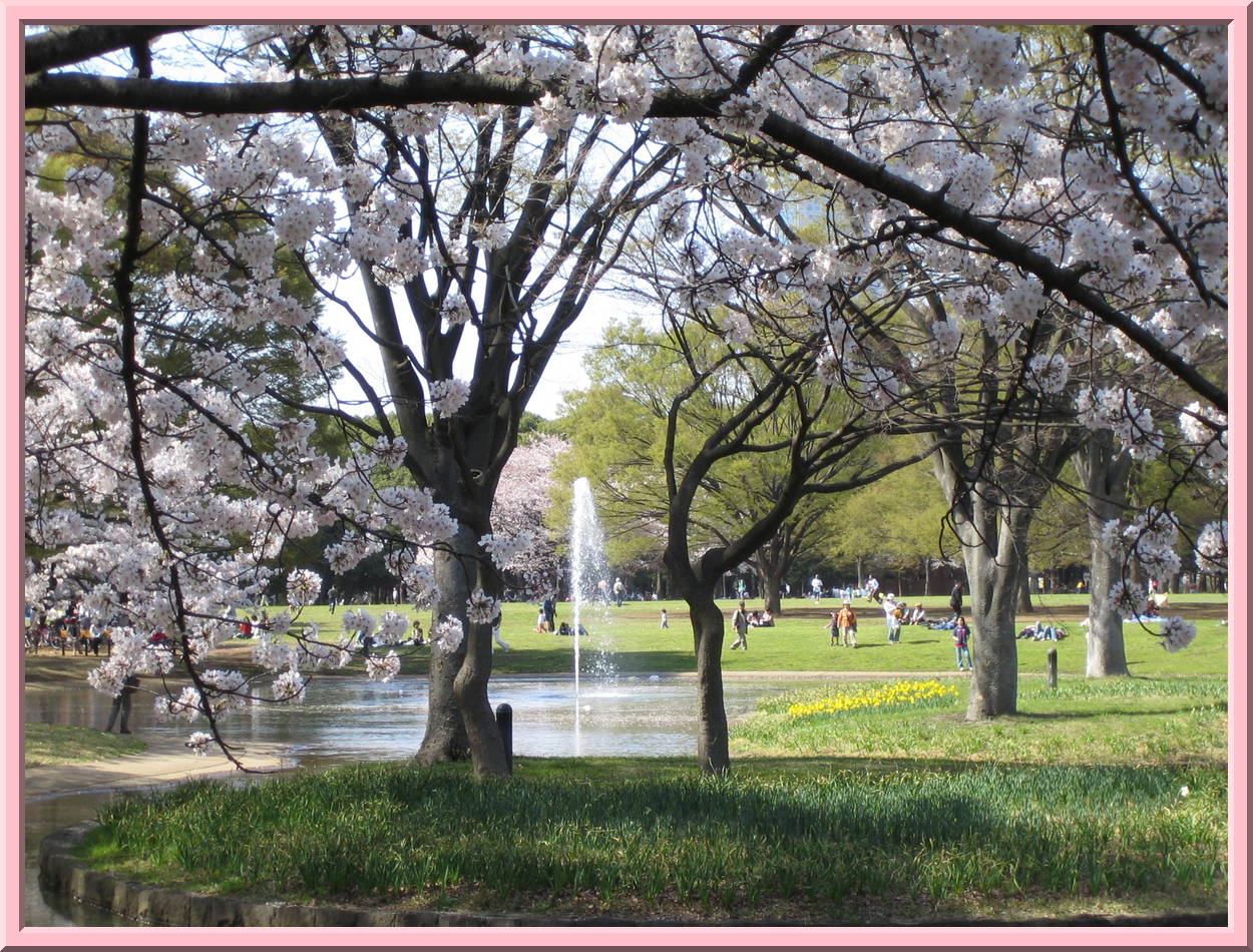 Yoyogi Koen