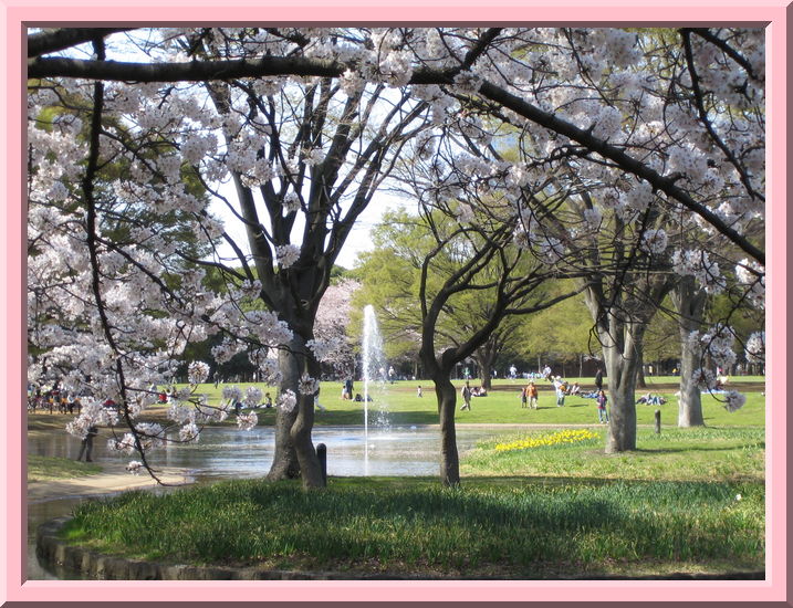 Yoyogi Koen