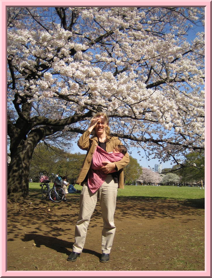 Cherry Tree