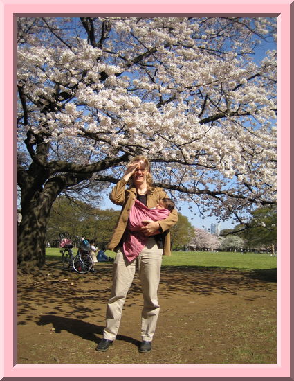Cherry Tree