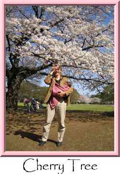 Cherry Tree Thumbnail