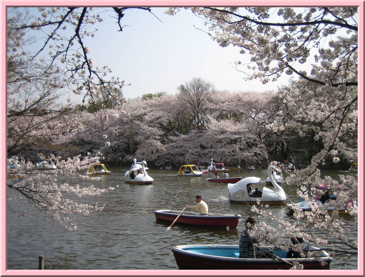Inokashira Koen