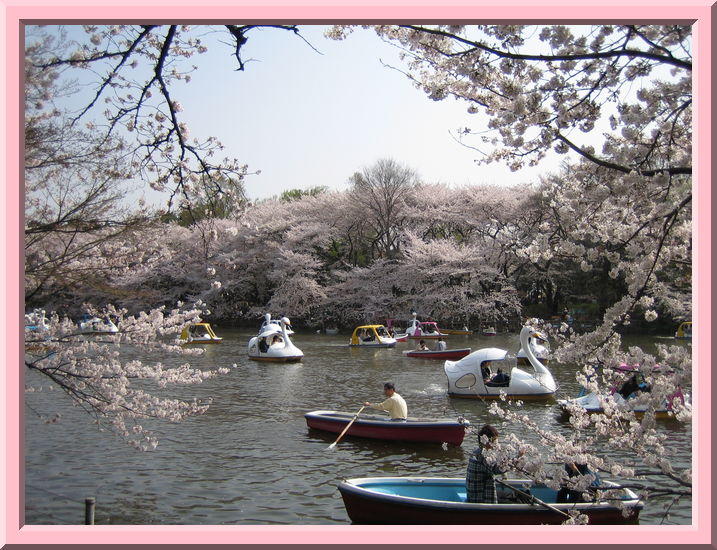 Inokashira Koen