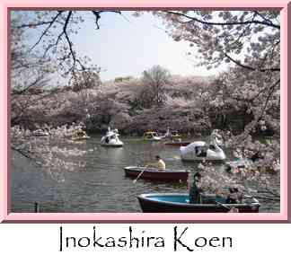 Inokashira Koen Thumbnail
