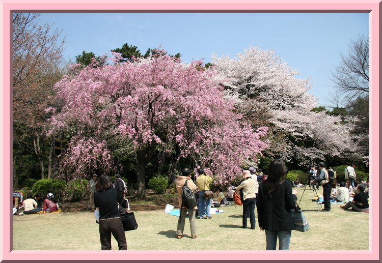 Shinjuku Park