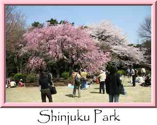 Shinjuku Park Thumbnail