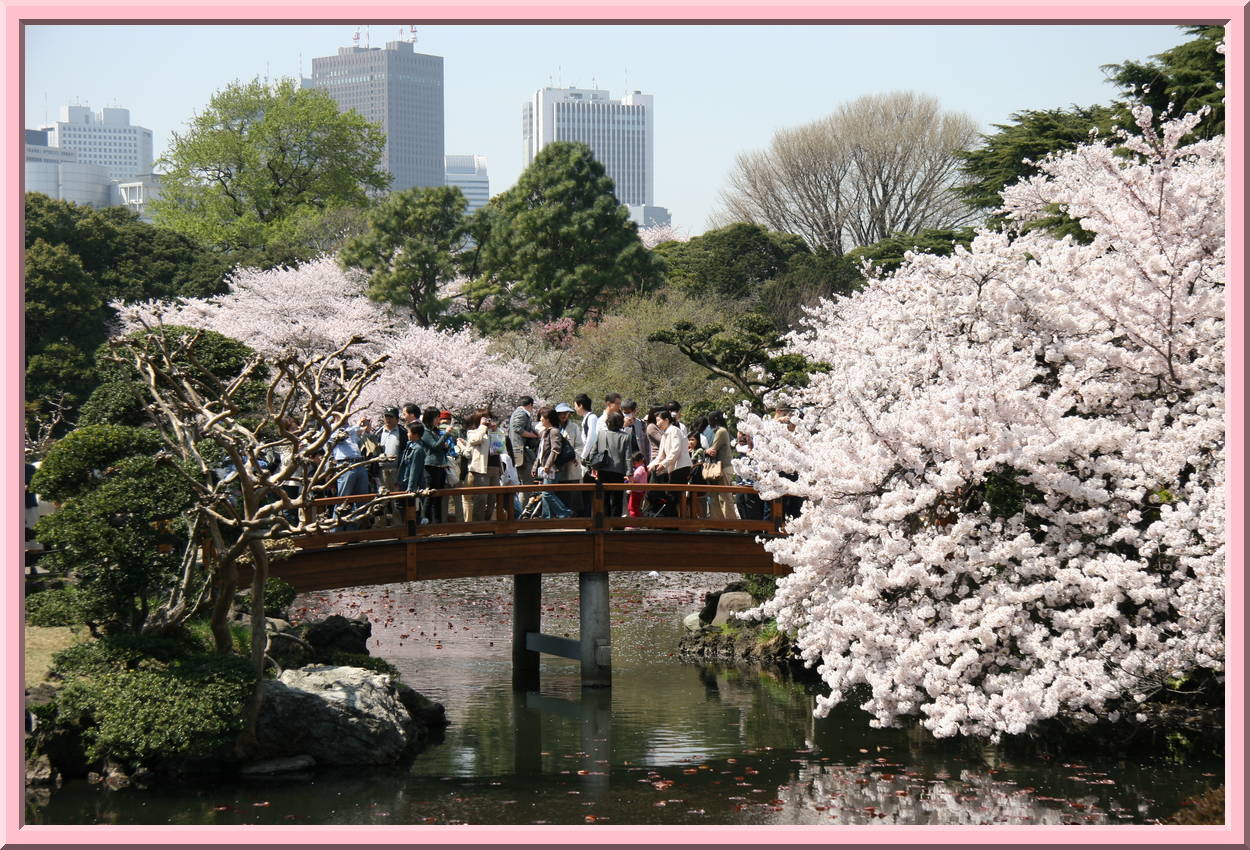 Shinjuku Park