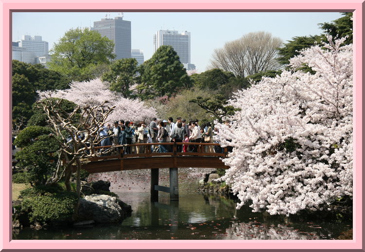 Shinjuku Park