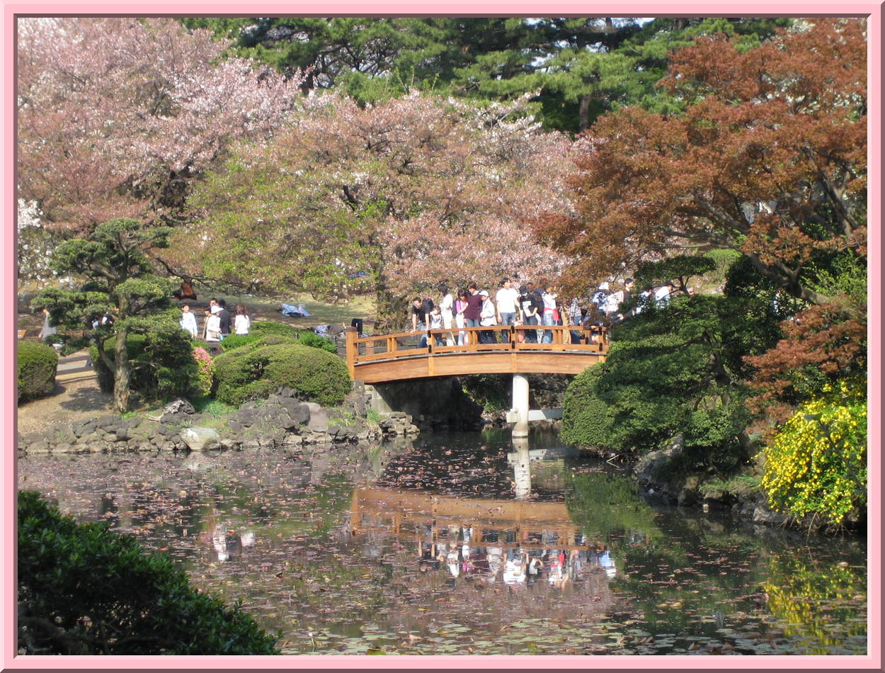 Bridge