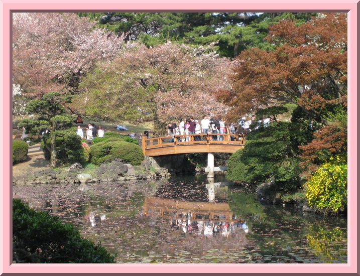 Bridge
