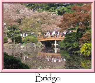 Bridge Thumbnail
