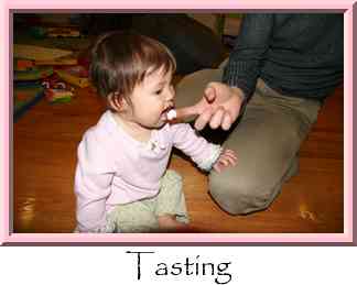 Tasting Thumbnail