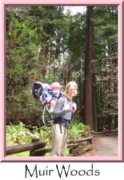 Muir Woods Thumbnail