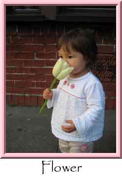 Flower Thumbnail