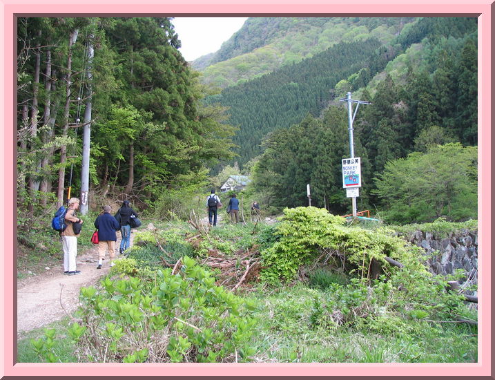Monkey Hotspring