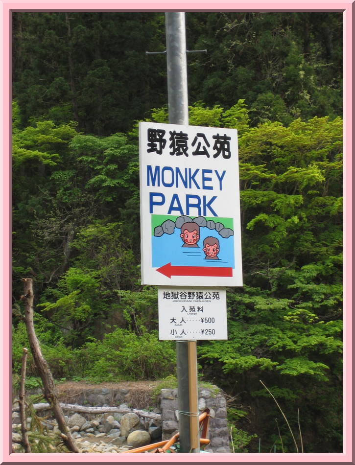 Monkey Park