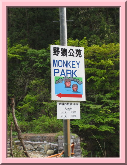 Monkey Park