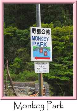 Monkey Park Thumbnail