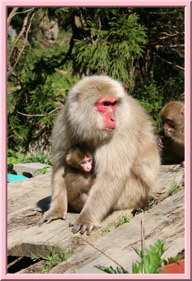 Mom and Baby