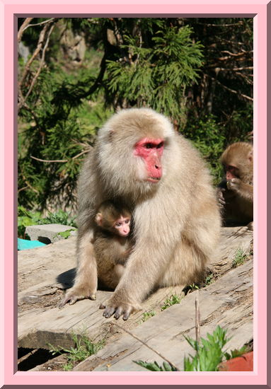 Mom and Baby