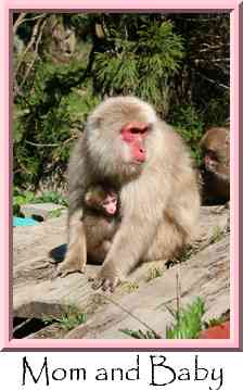 Mom and Baby Thumbnail