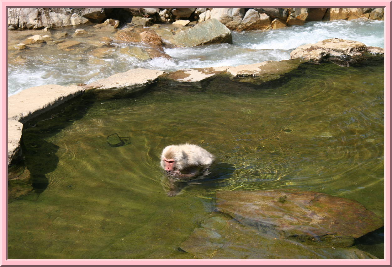 Finding Food