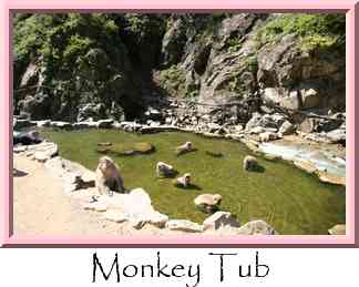 Monkey Tub Thumbnail
