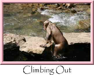 Climbing Out Thumbnail