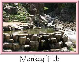 Monkey Tub Thumbnail