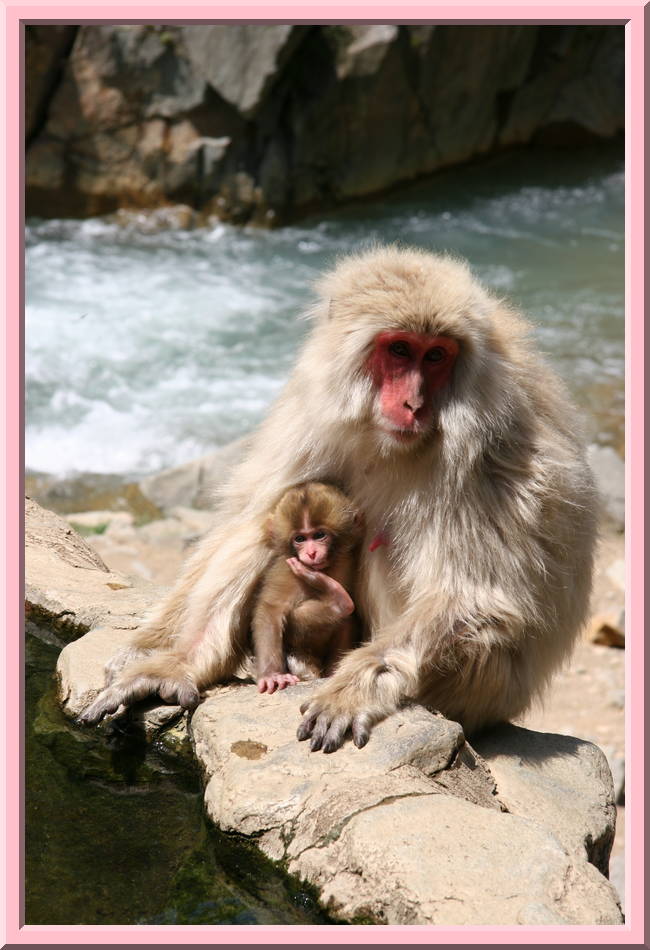 Mother and Child