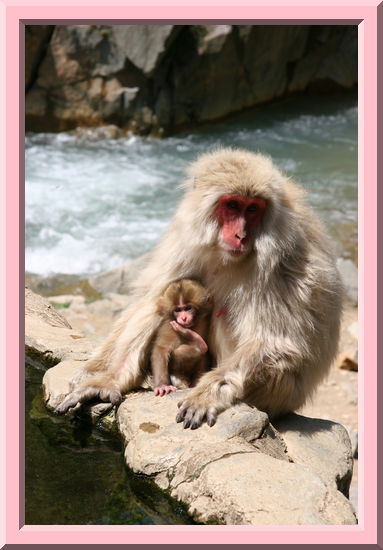 Mother and Child