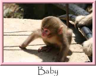 Baby Thumbnail