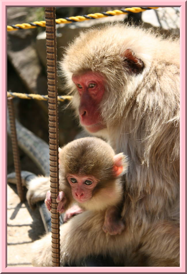 Mother and Child