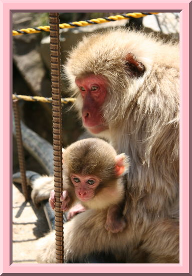 Mother and Child