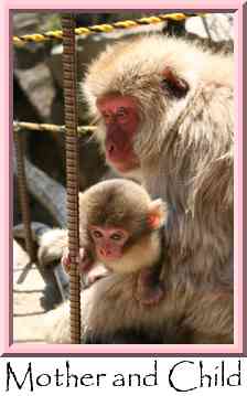 Mother and Child Thumbnail