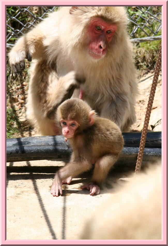Mother and Child