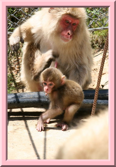 Mother and Child