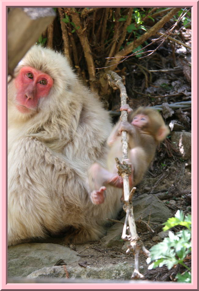 Baby Playing