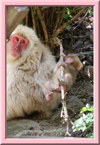 Baby Playing