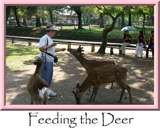 Feeding the Deer Thumbnail