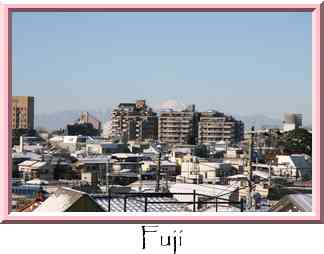 Fuji Thumbnail
