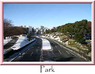 Park Thumbnail