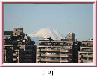 Fuji Thumbnail